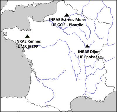 Mixing Ability of Intercropped Wheat Varieties: Stability Across Environments and Tester Legume Species